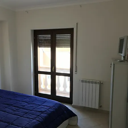 Il Tulipano